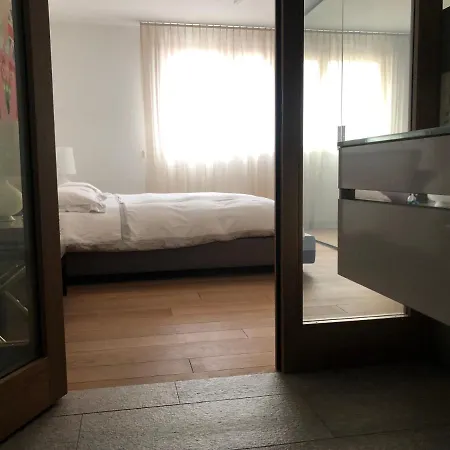 アパート Luxury Apt And Garage サンモリッツ